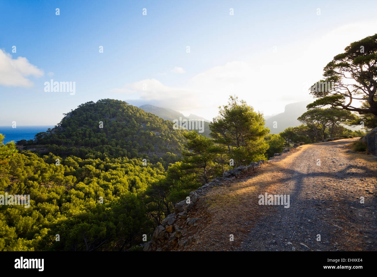 spain-mallorca-serra-de-tramuntana-hiking-trail-stock-photo-alamy