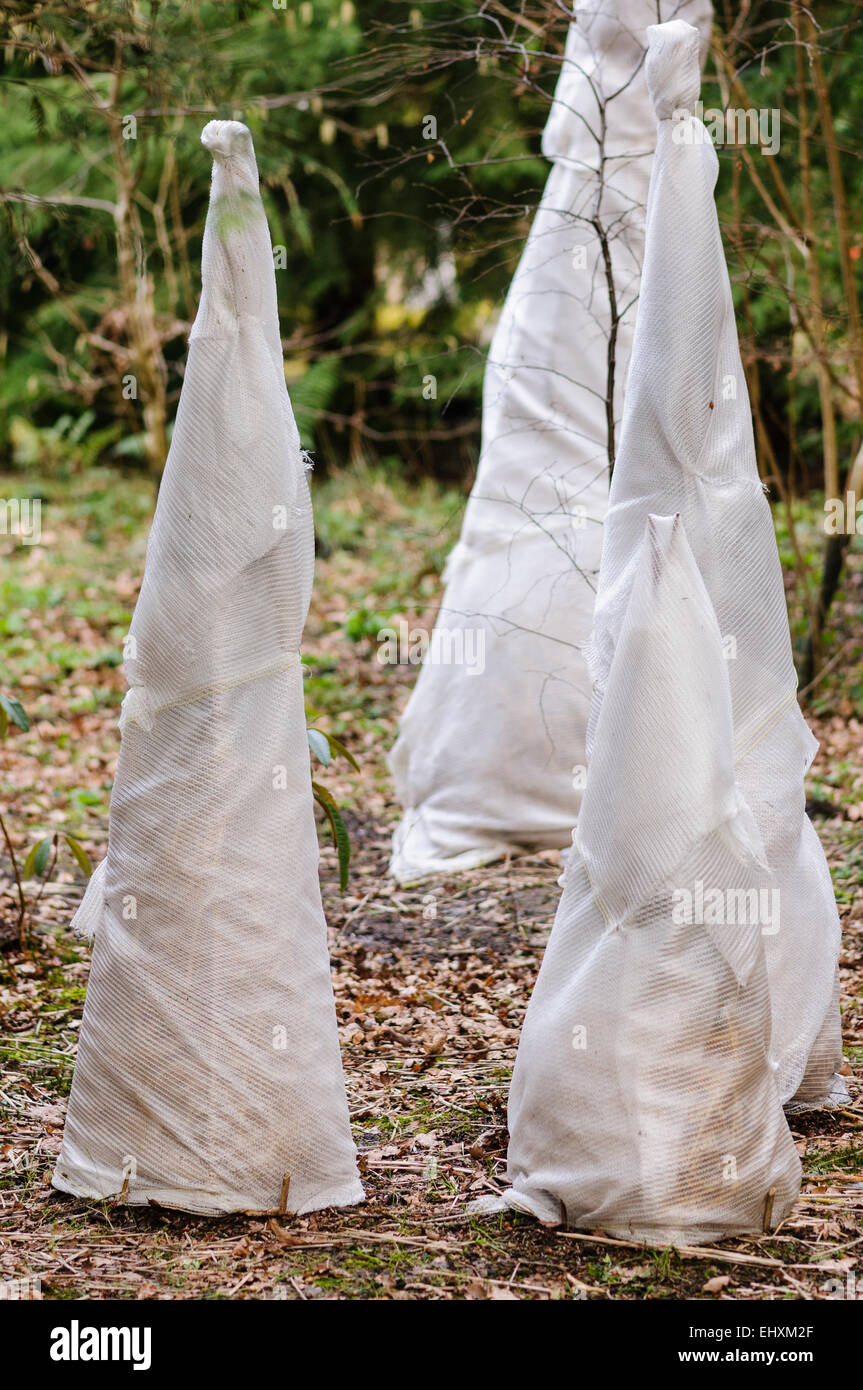 Frost protection hires stock photography and images Alamy