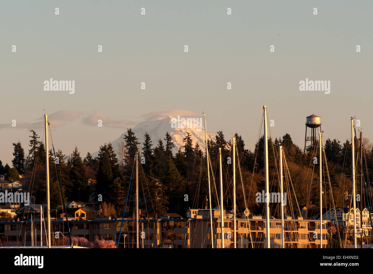 Mt. Rainier with a marina in the foreground Stock Photo