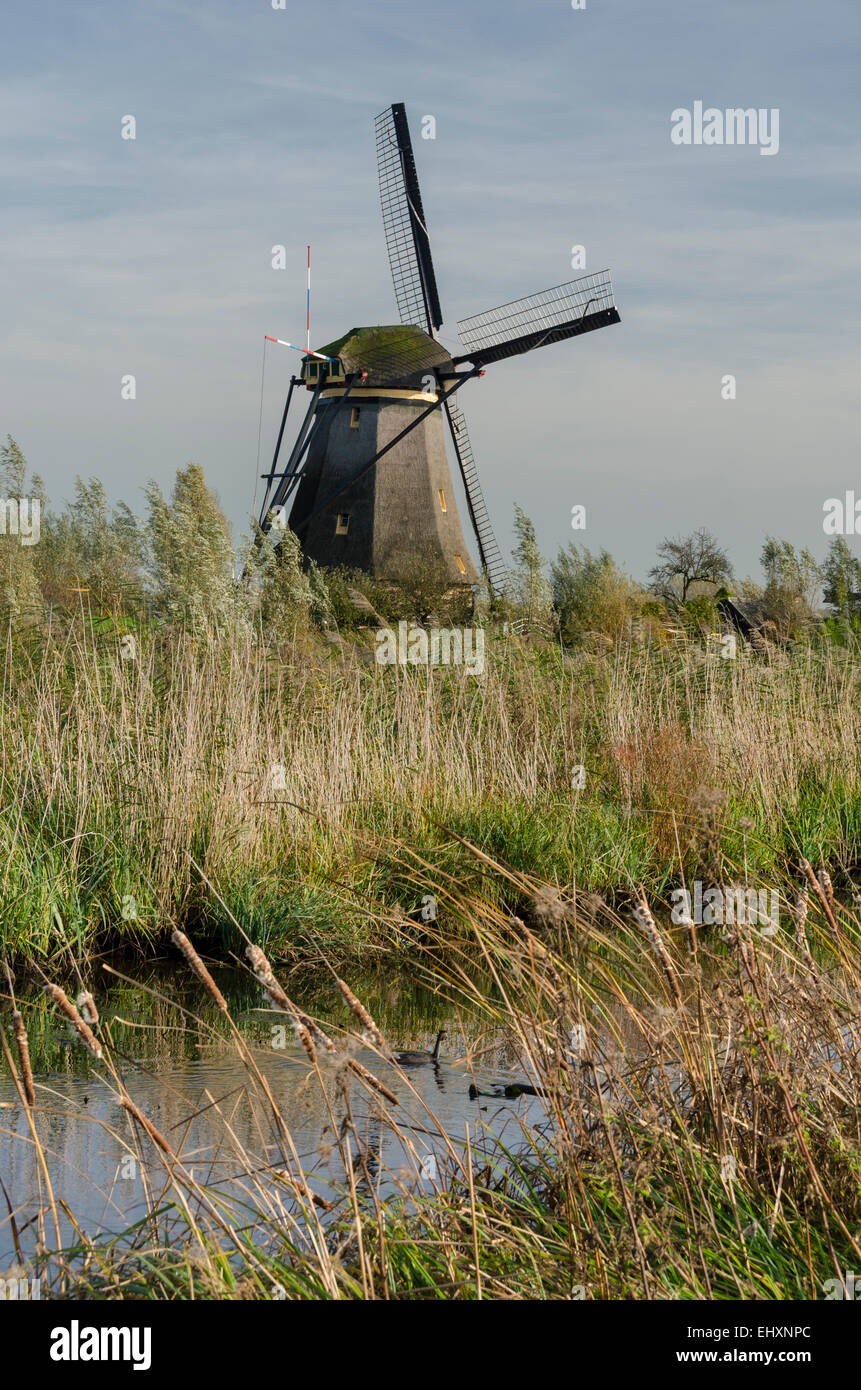 Windmill at Kinderdijk in the Netherlands which dates from the 18th century and was used to drain water from the land. Stock Photo