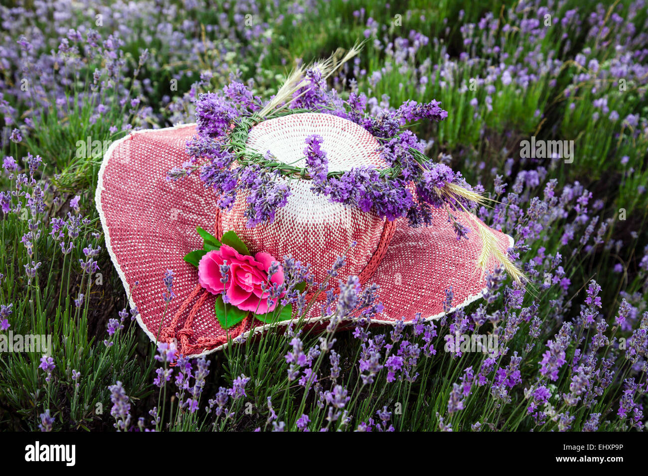 Female hat decorated with lavender flowers Stock Photo