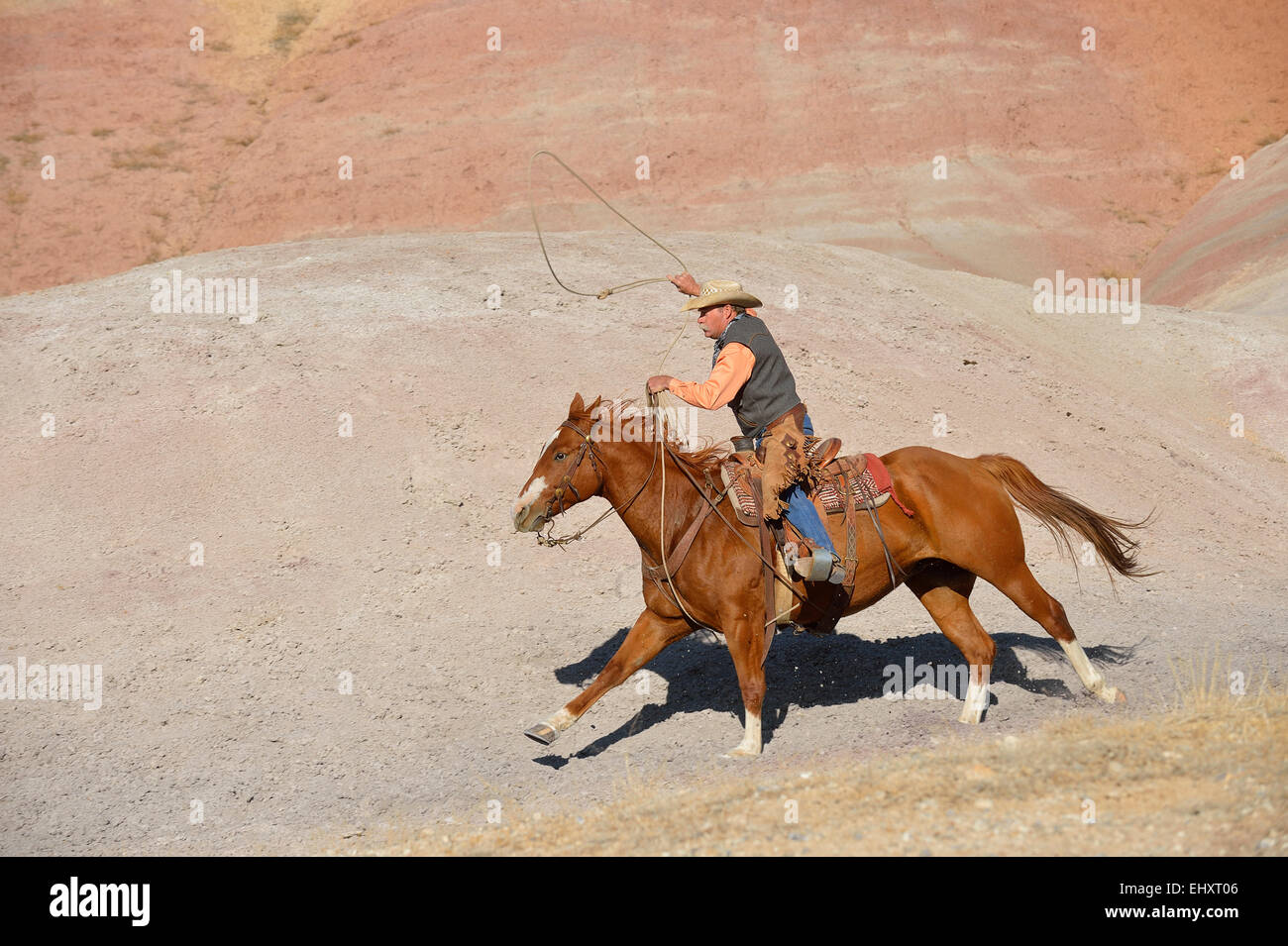 Lasso swinging hi-res stock photography and images - Alamy