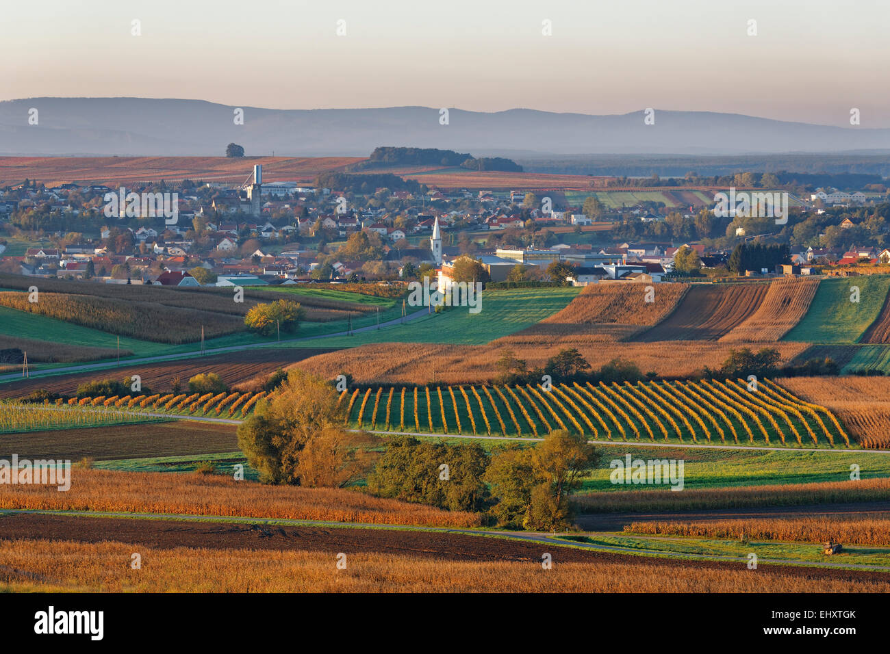 Austria, Burgenland, Oberpullendorf District, Neckenmarkt, in autumn Stock Photo