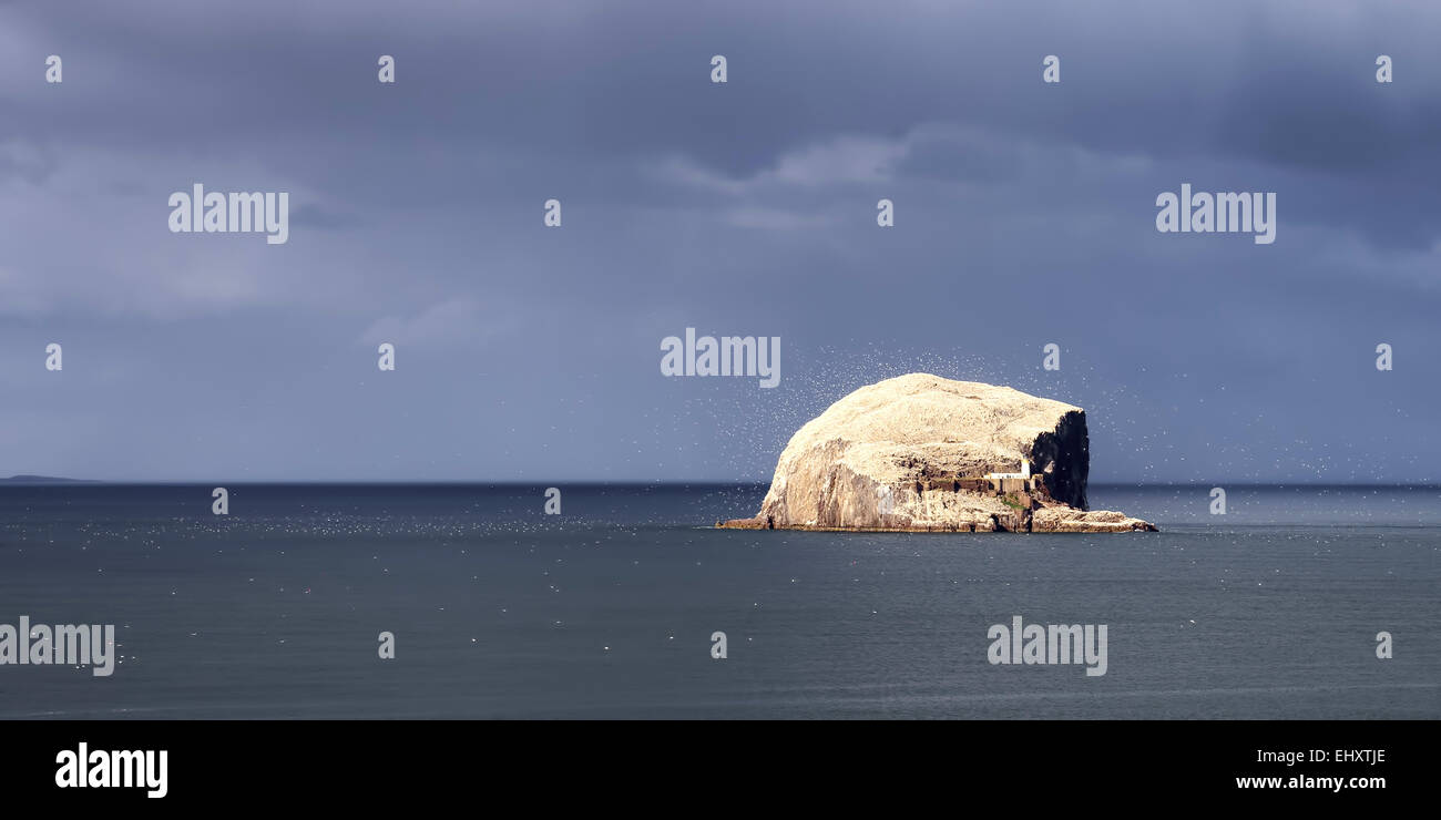 UK, Scotland, East Lothian, Bass Rock with a colony of gannets Stock Photo