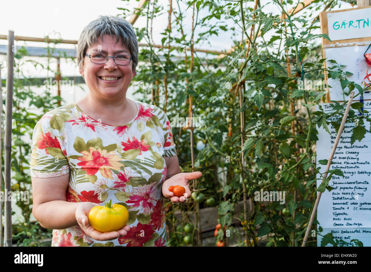 Woman in greenhouse holding red and yellow tomato Stock Photo - Alamy