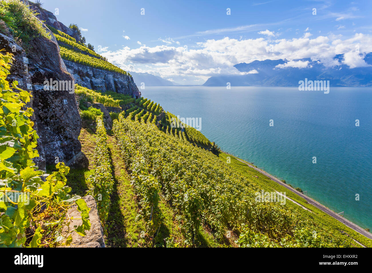 Hillside view of lake geneva hires stock photography and images Alamy