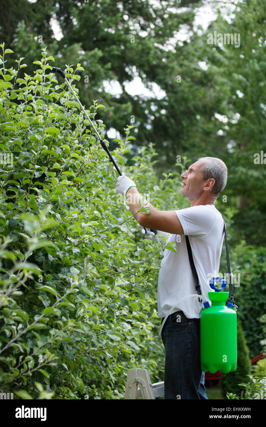 Plant protection products hires stock photography and images Alamy
