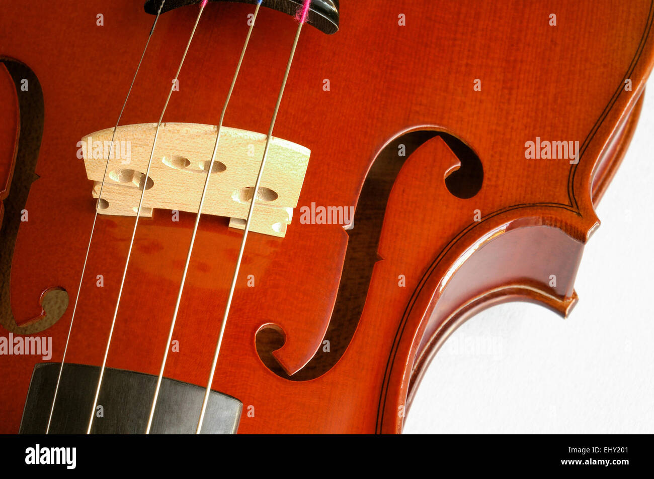 Musical instrument  violin closeup showing the bridge Stock Photo