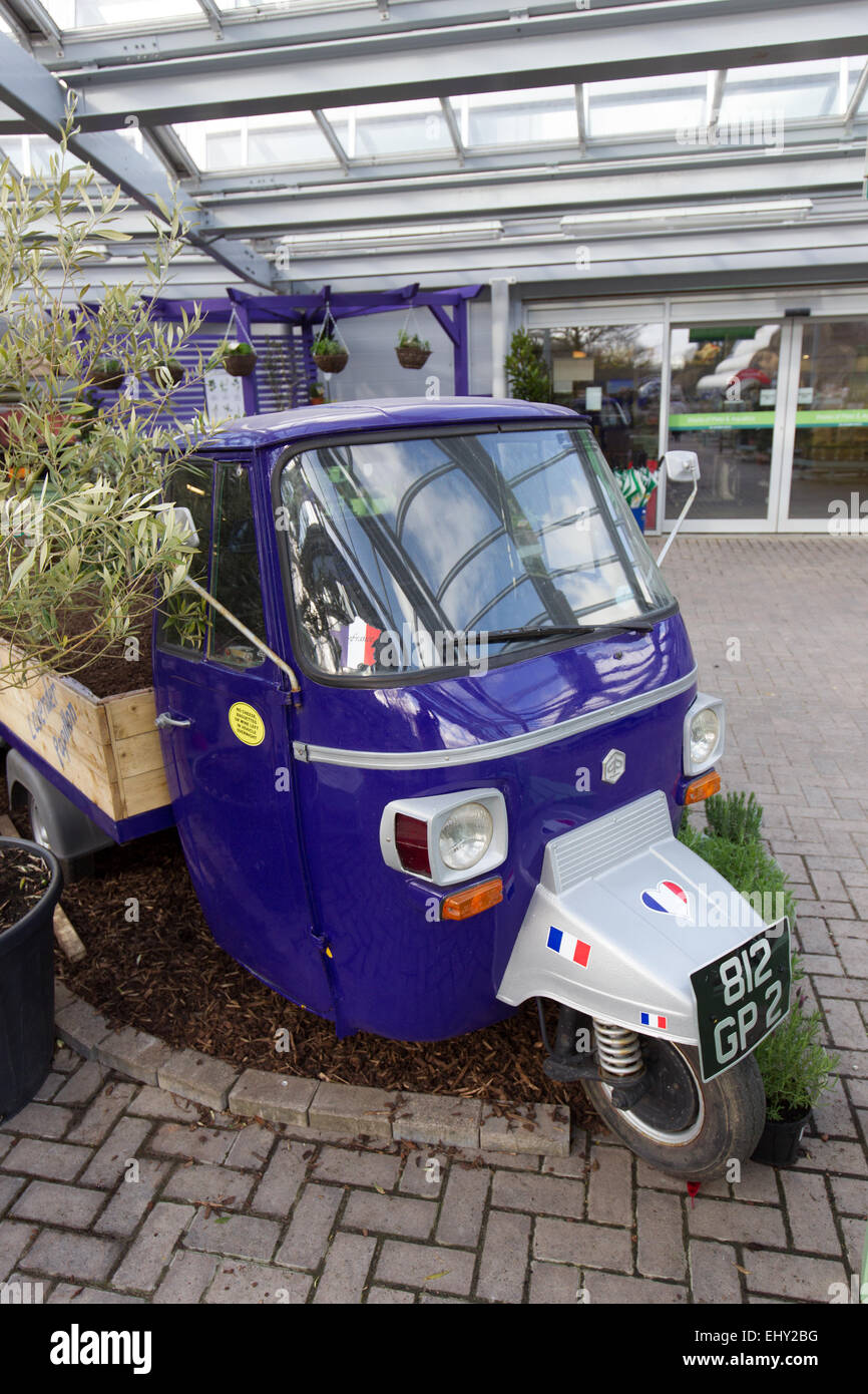 Hayes garden world christmas fair
