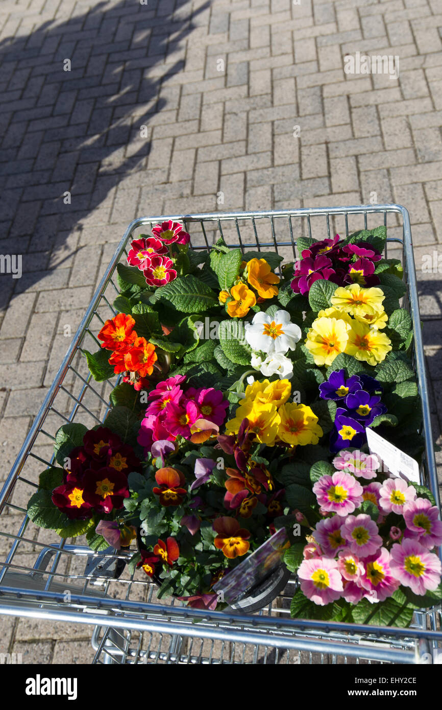 Garden centre trolley hi-res stock photography and images - Alamy