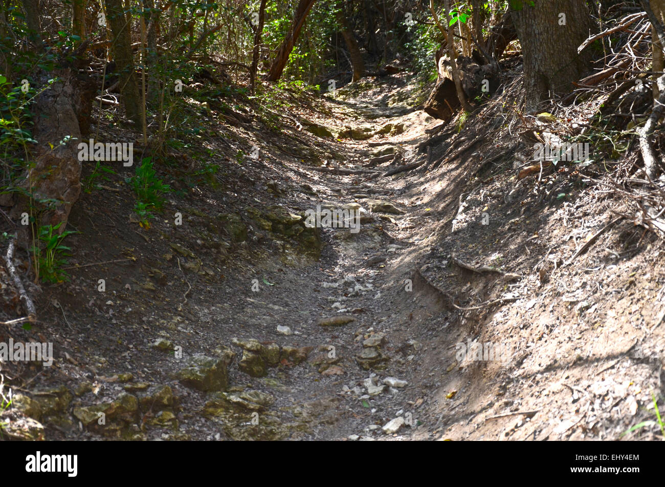 A hiking trail in Waco Stock Photo Alamy