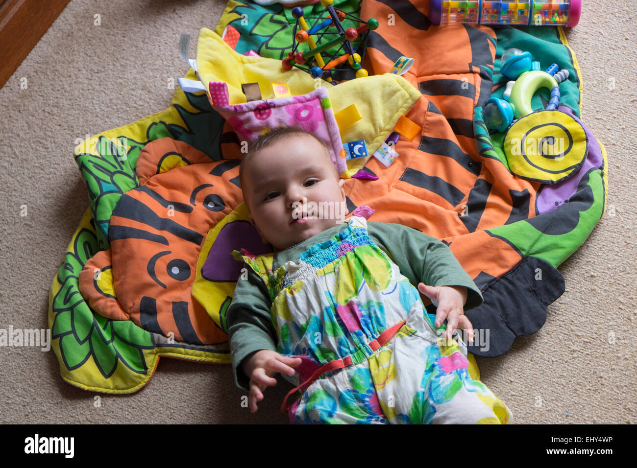 8 month old baby girl, lying on floor Stock Photo