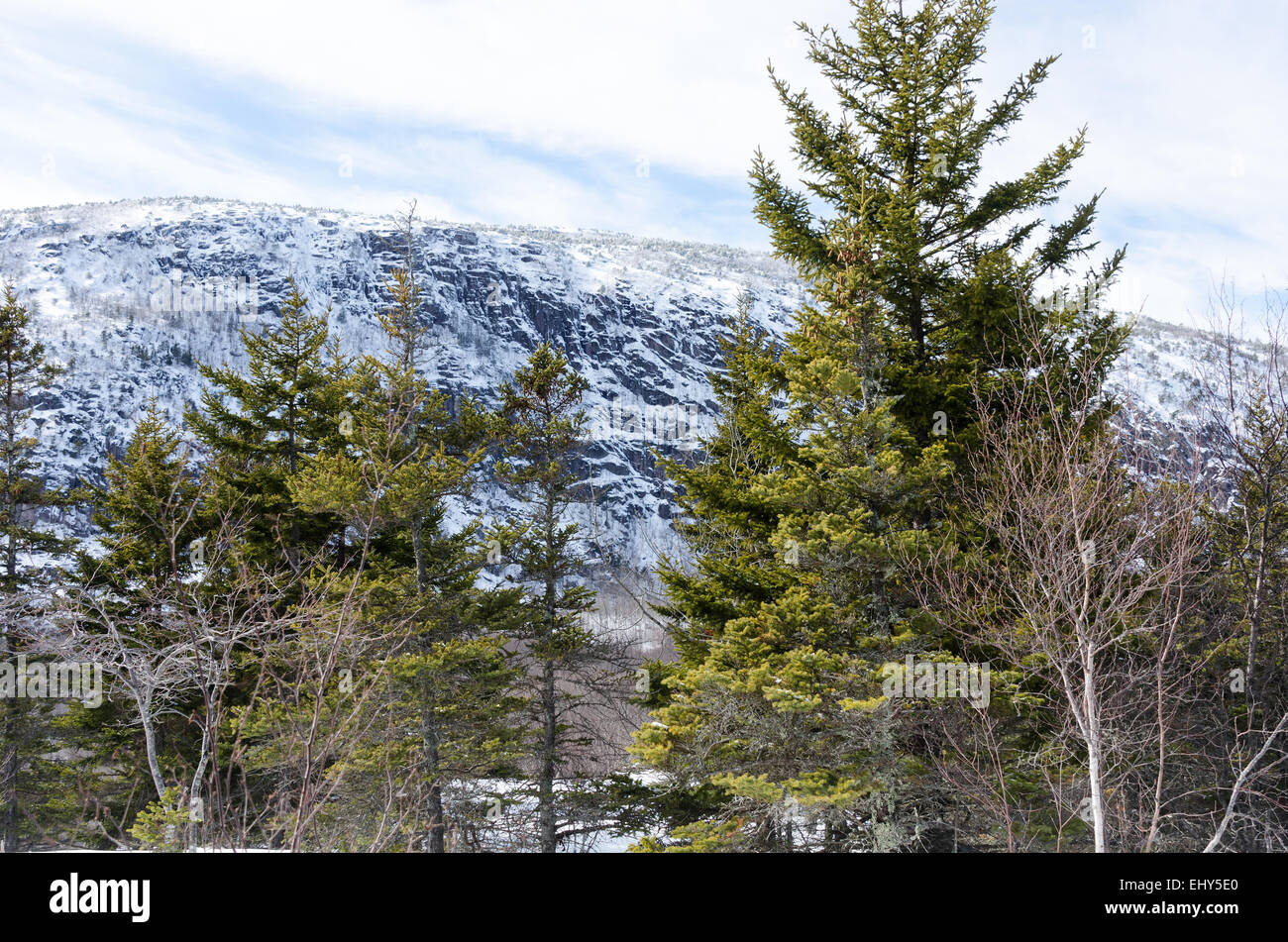 The snow-covered east face of Champlain Mountain, Acadia National Park, Bar Harbor, Maine Stock Photo