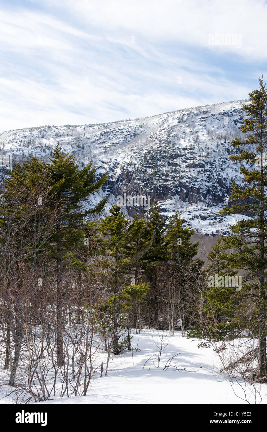 A winter view of the east side of snow-covered Champlain Mountain, Acadia National Park, Bar Harbor, Maine Stock Photo