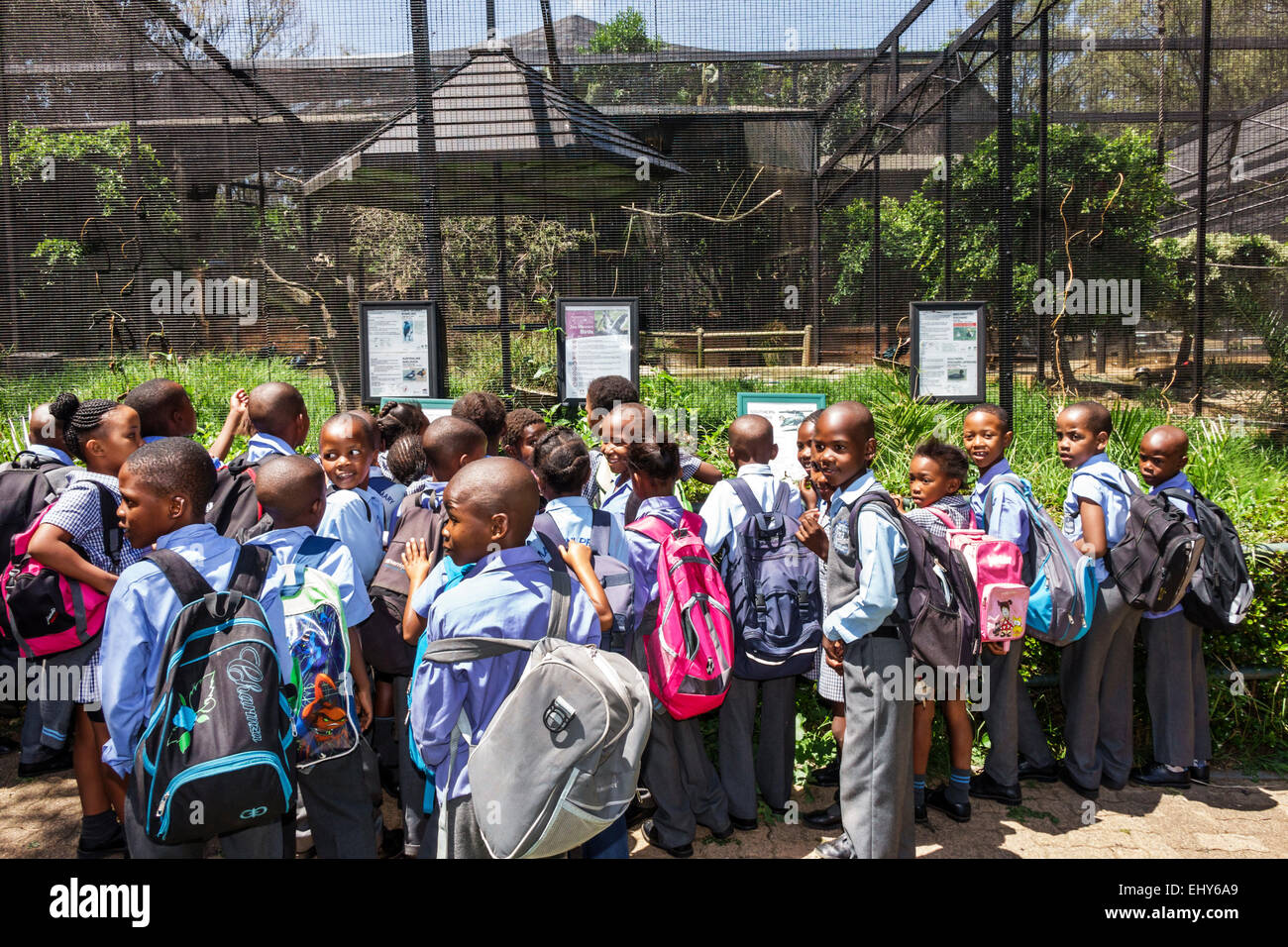 Johannesburg South Africa,Zoo,Black male boy boys kids children girl girls,female youngster,student students class field trip,animal exhibit,cage,SAfr Stock Photo