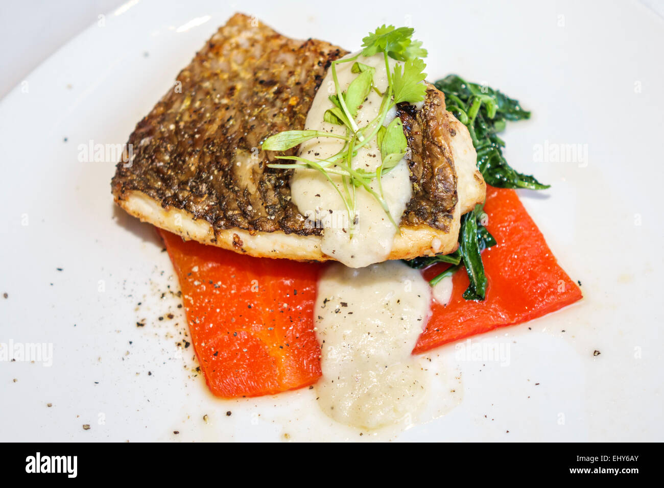 Johannesburg South Africa,Sandton,Nelson Mandela Square,Piccolo Mondo