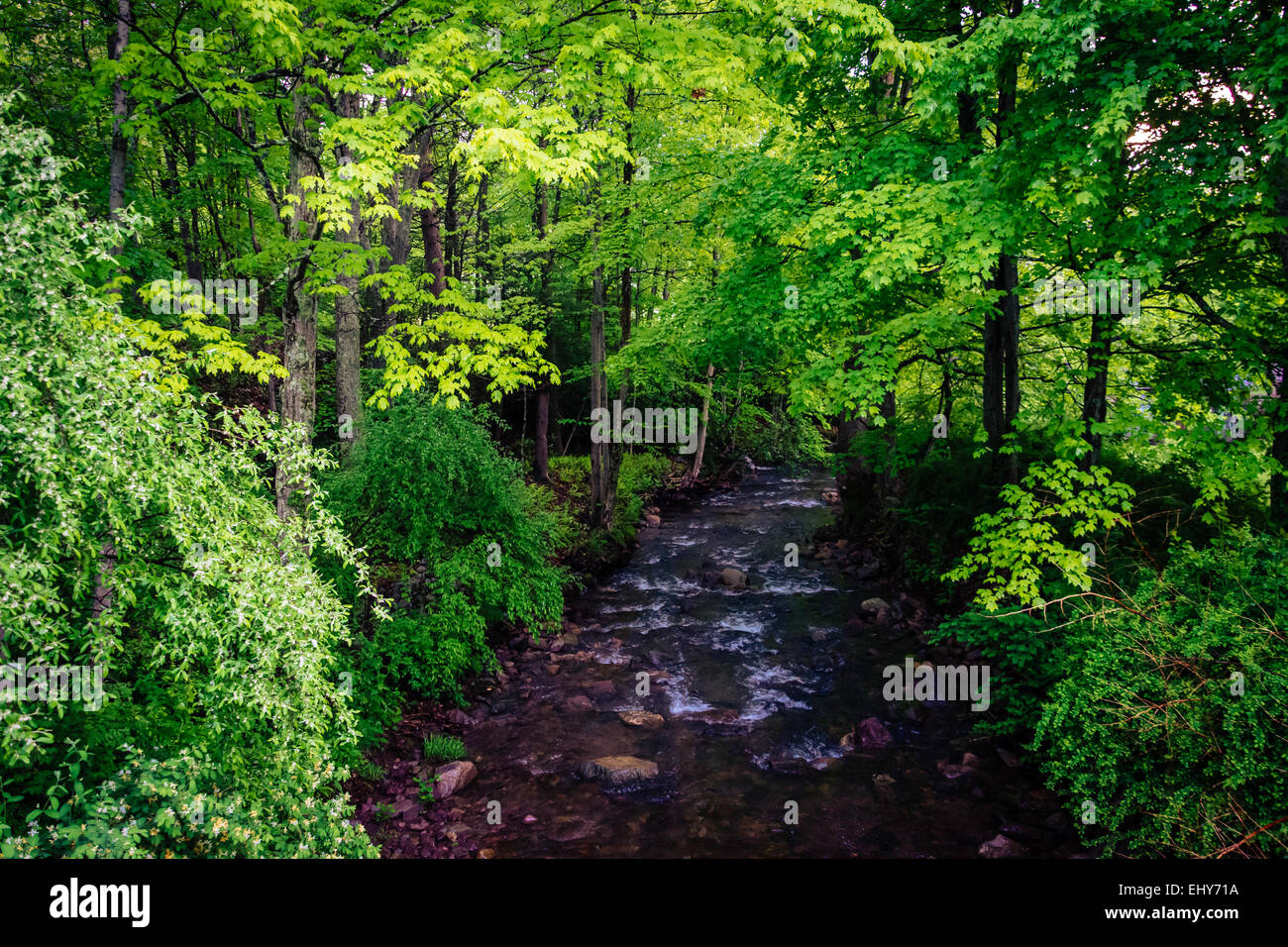 Stream at Millbrook Village, at Delaware Water Gap National