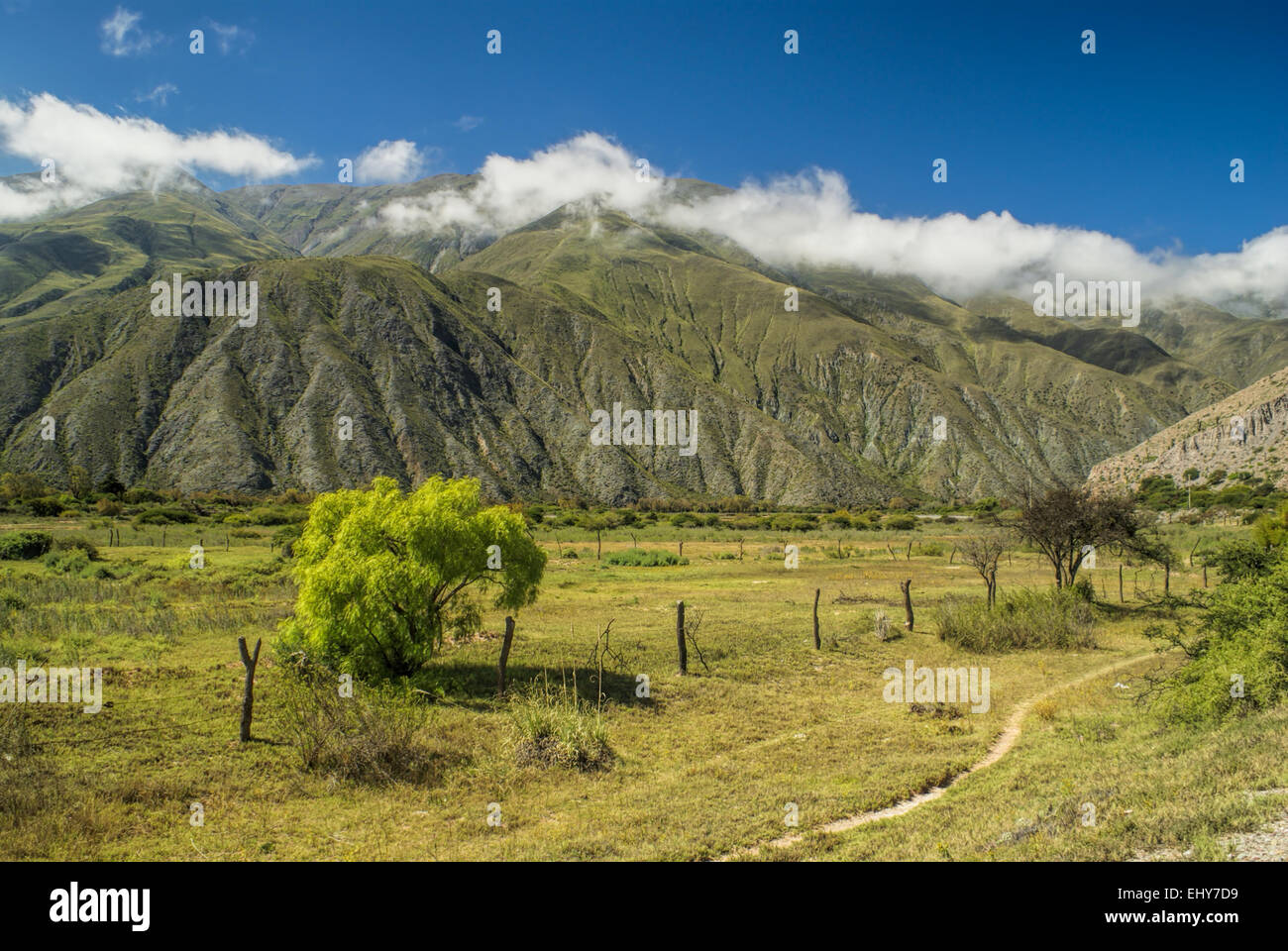 Salta region hi-res stock photography and images - Alamy