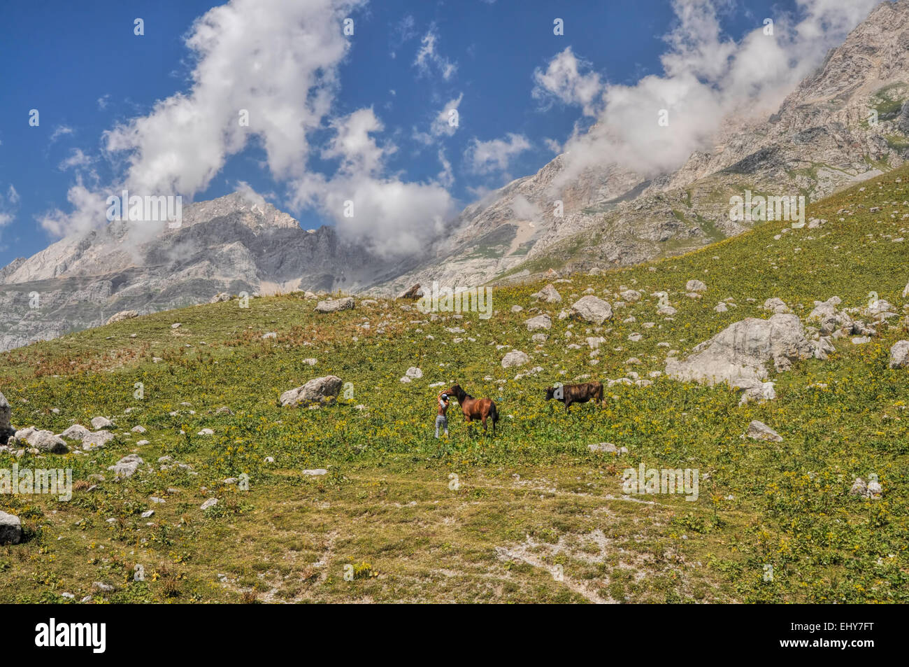 Shepherd with horse and bull in scenic mountain range in Kyrgyzstan Stock Photo