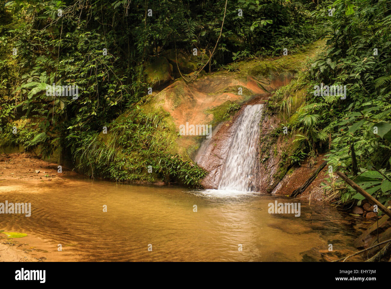 Water cascade in Bolivian jungle forest Stock Photo