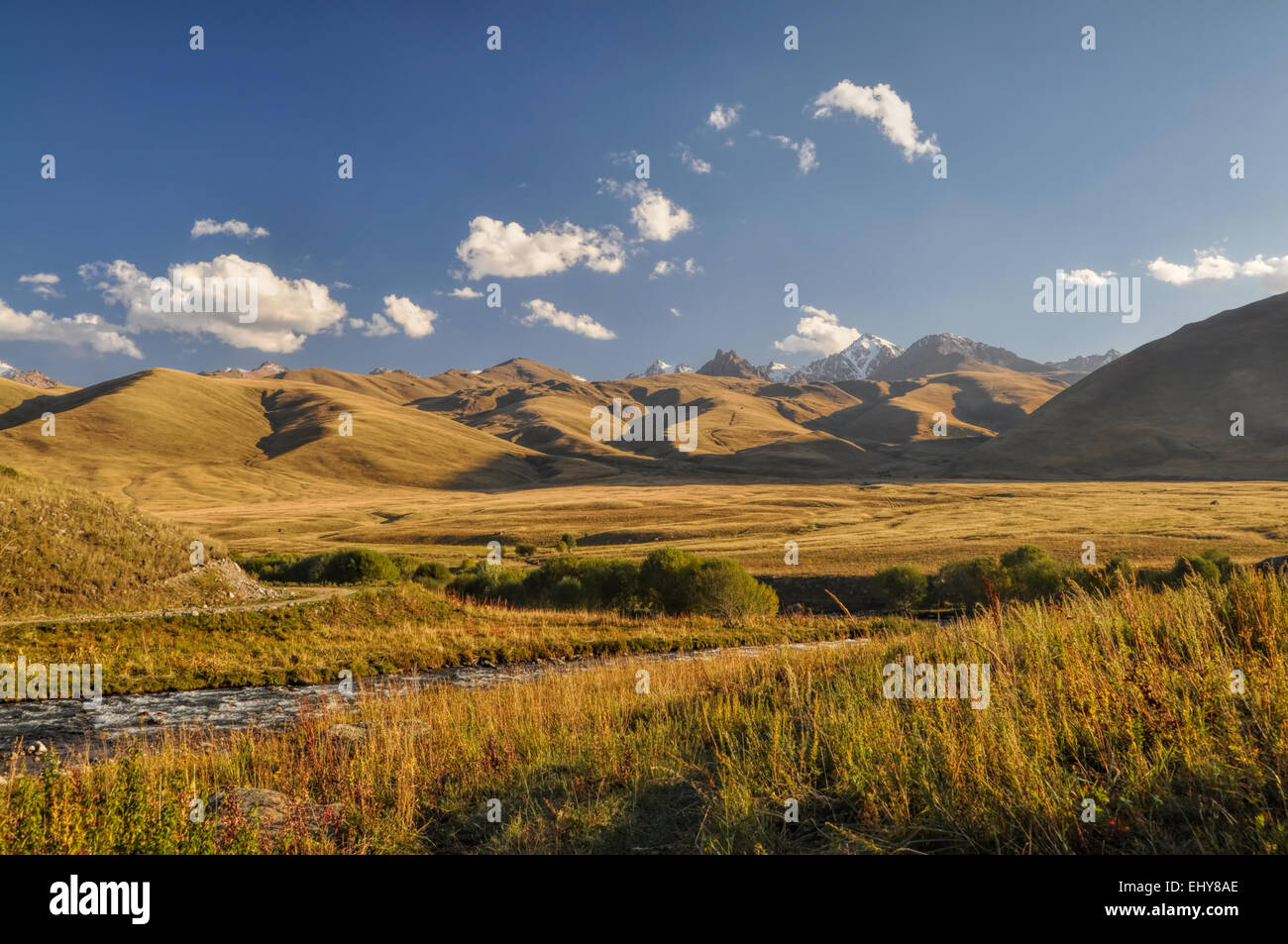 Scenic landscape of green grasslands in Kyrgyzstan Stock Photo