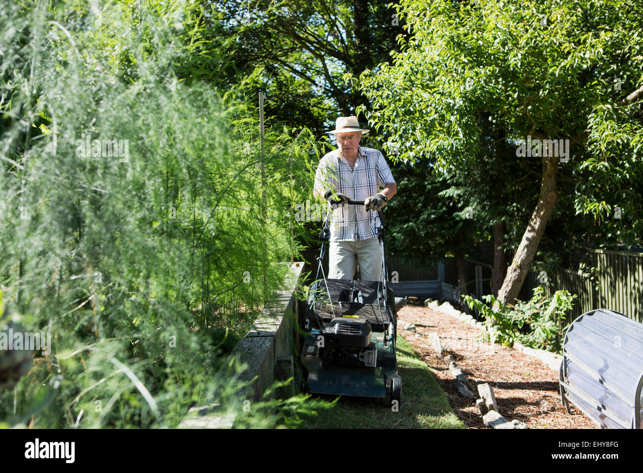 Senior man mows garden lawn, Bournemouth, County Dorset, UK, Europe Stock Photo