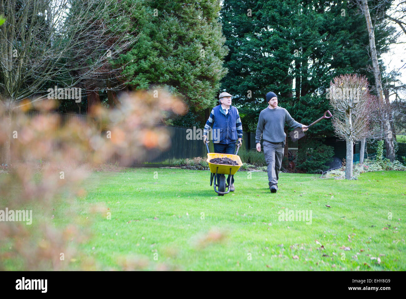 Senior man pushing wheelbarrow in garden, Bournemouth, County Dorset, UK, Europe Stock Photo
