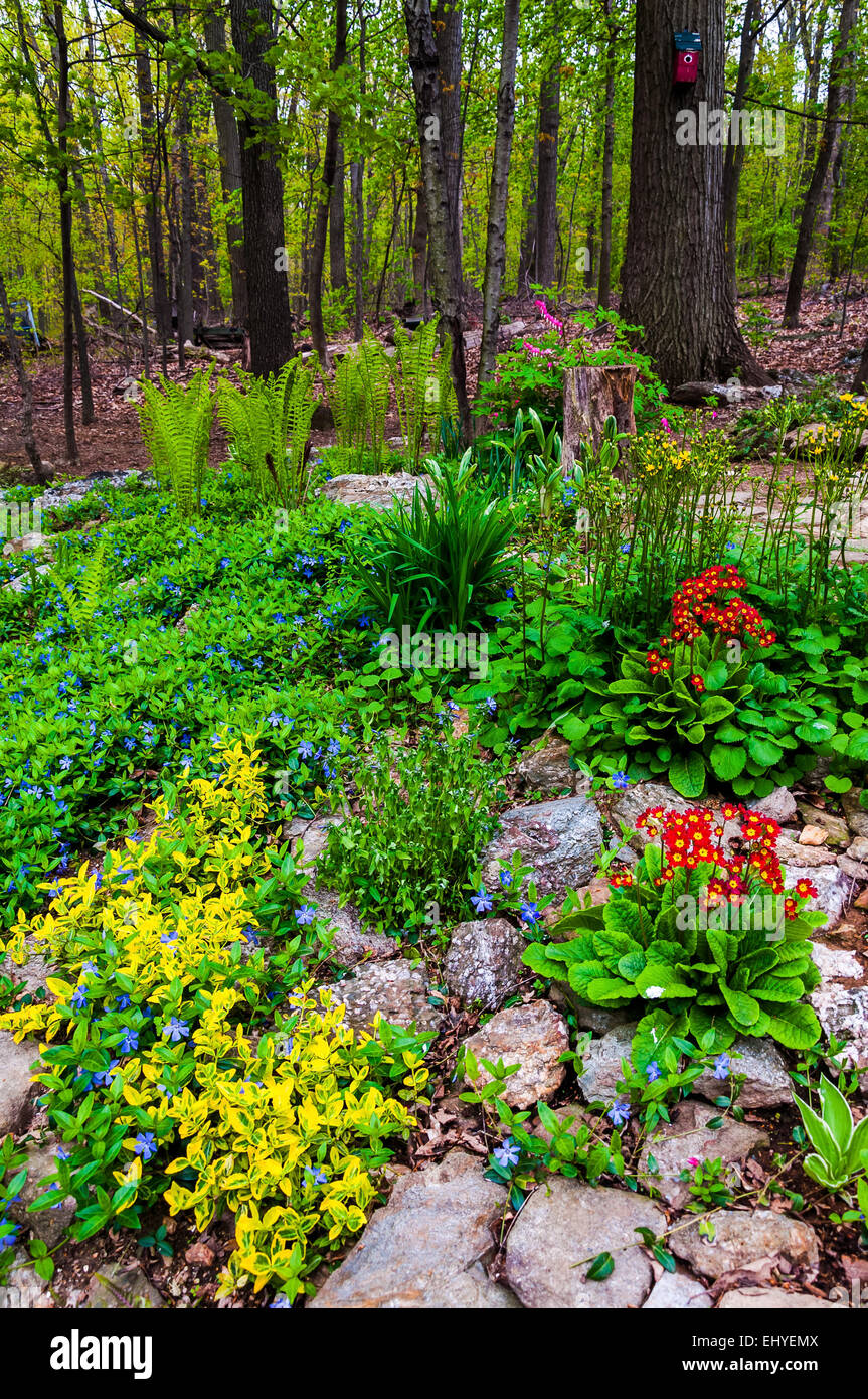 A colorful backyard woodland garden Stock Photo Alamy