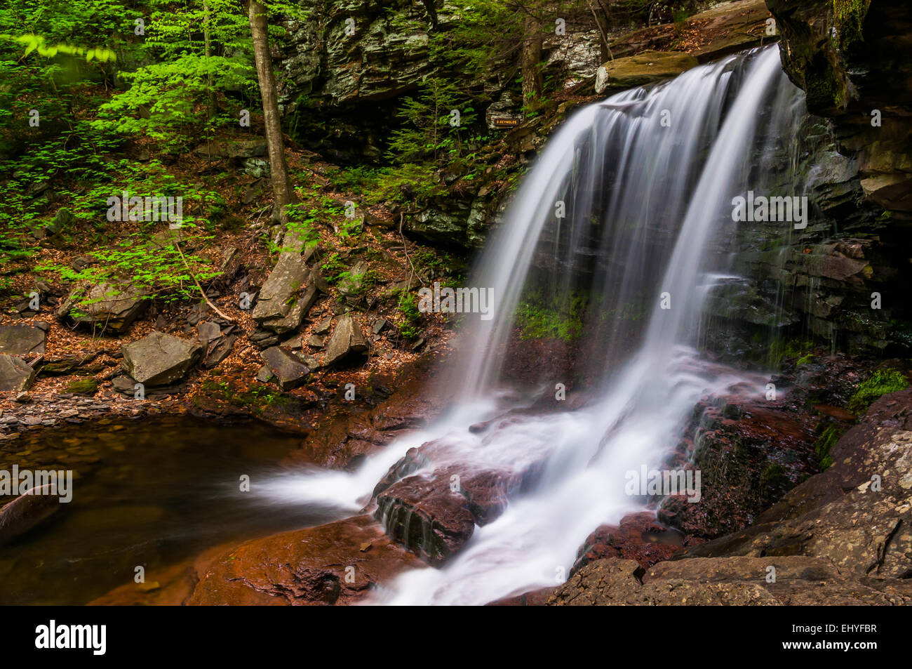 B. Reynolds Falls, at Ricketts Glen State Park, Pennsylvania Stock Photo Alamy