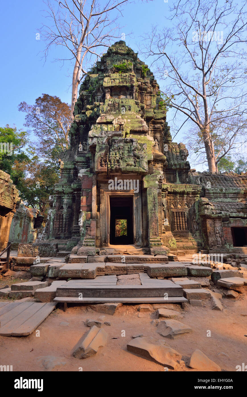 Ta Phrom Temple, Siem Reap Cambodia. No people, with trees and blue sky. Stock Photo
