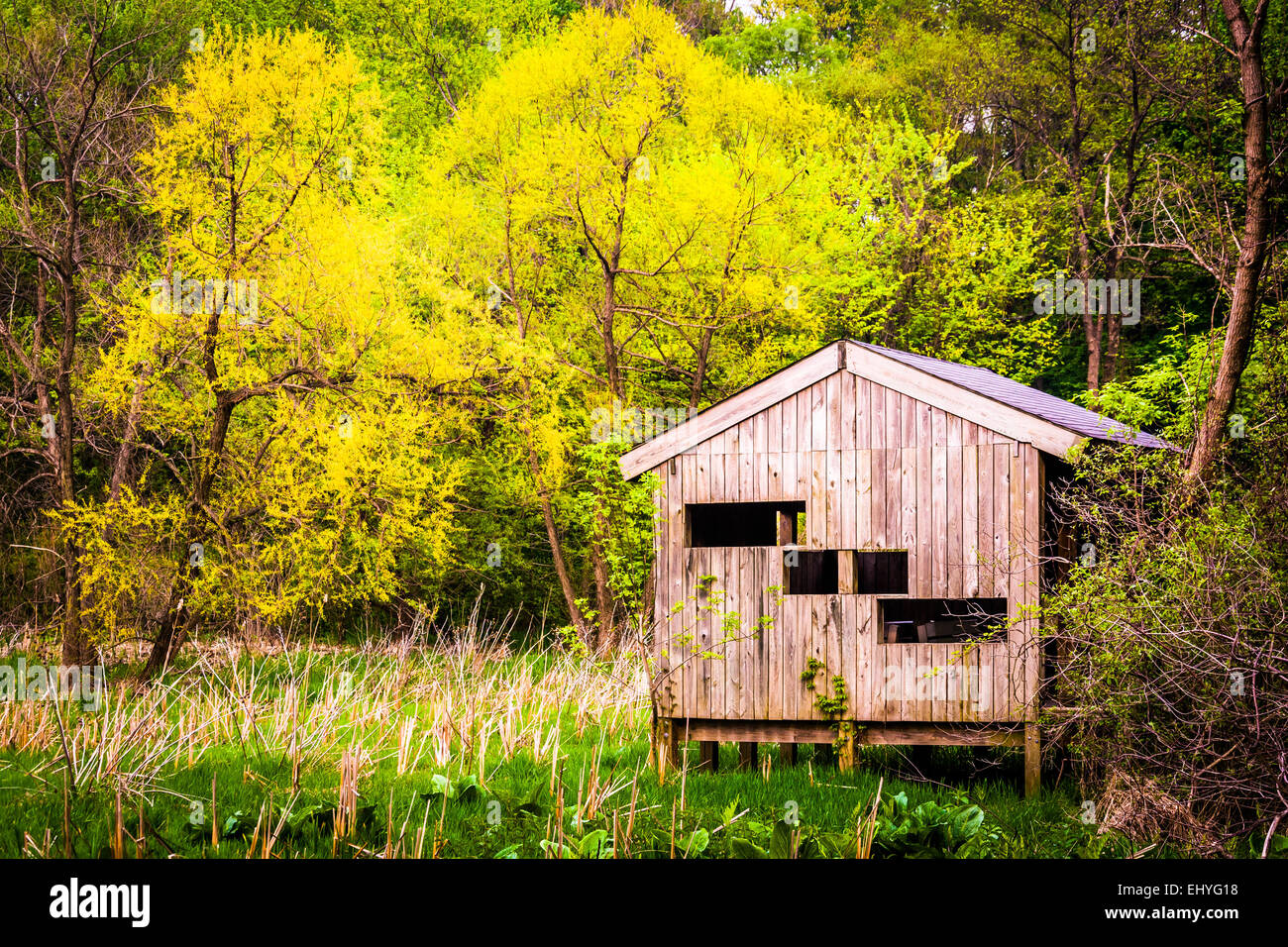 Bird blind and spring color at Wildwood Park in Harrisburg, Pennsylvania. Stock Photo