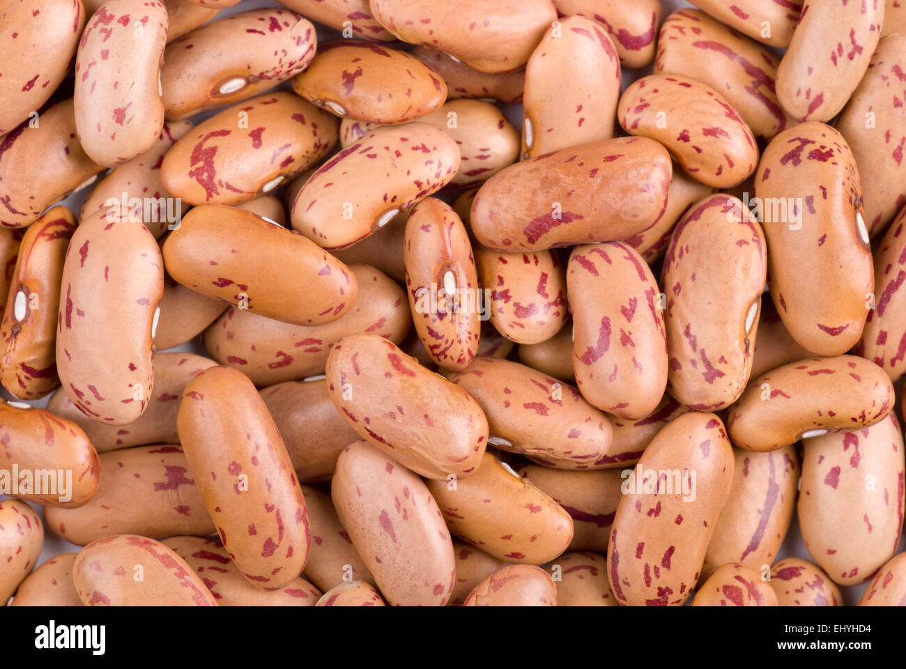 Pinto beans full frame background close up. Stock Photo