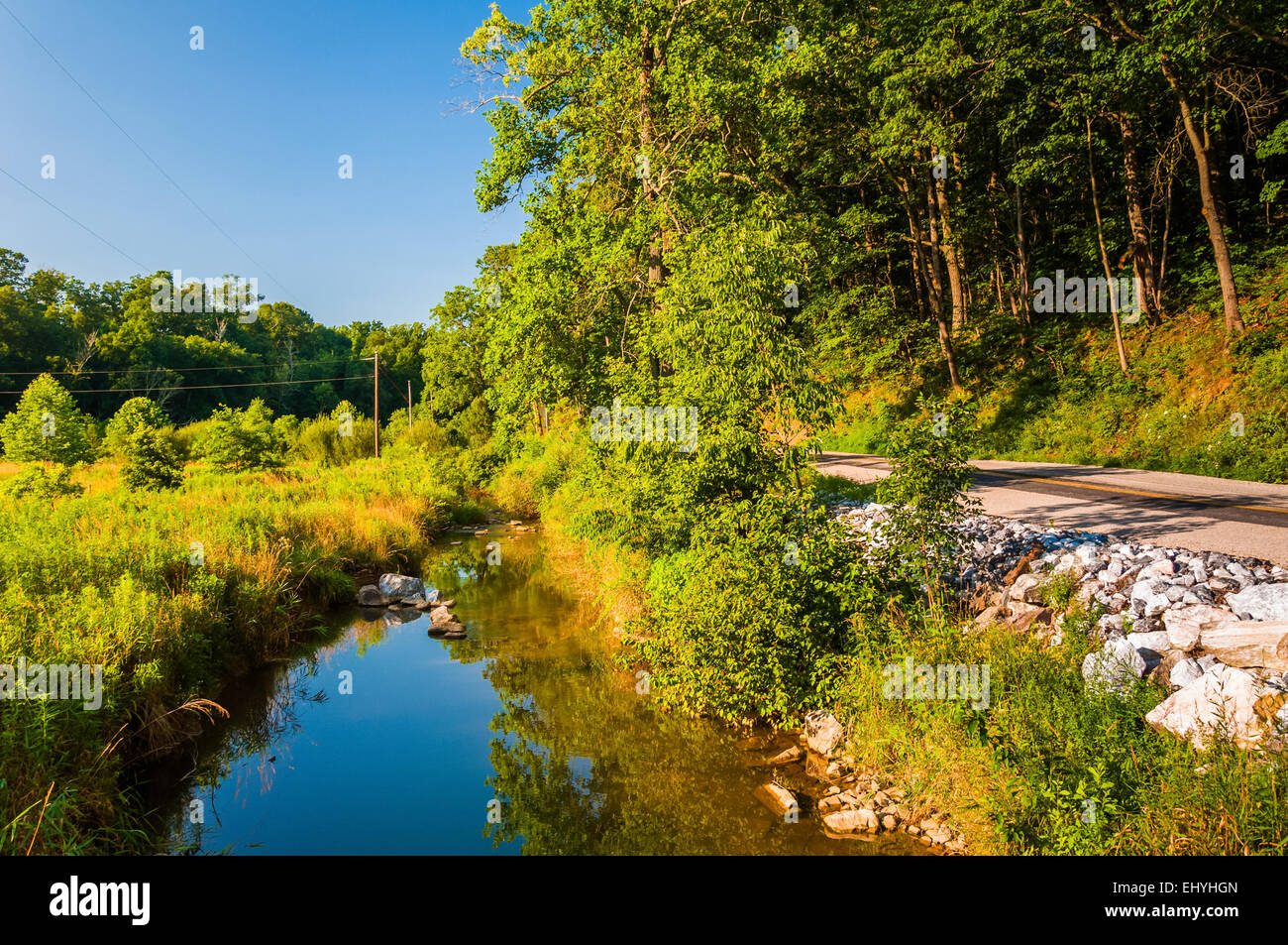 Creek and wetland along a country road in Southern York County, PA. Stock Photo