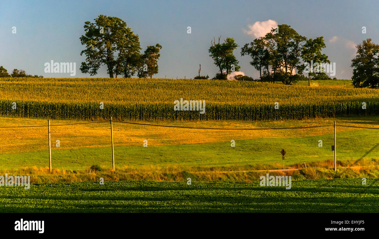 Pennsylvania farm fields in hill country hi-res stock photography and ...