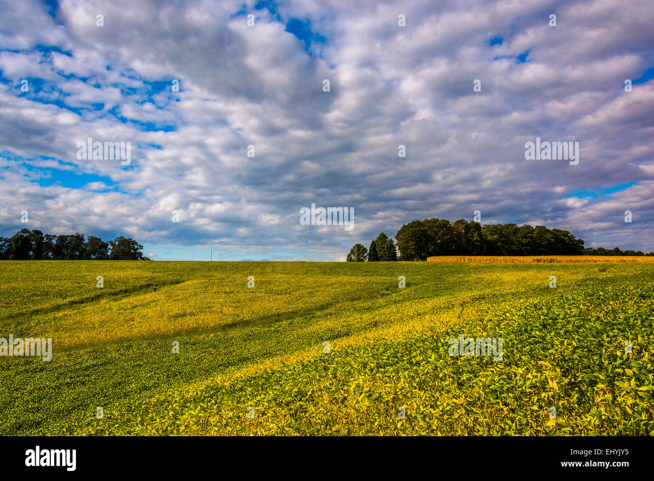 Farm fields and rolling hills near Stewartstown, Pennsylvania Stock