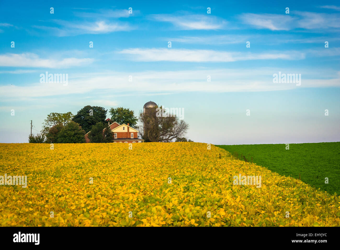 Farm fields in rural Lancaster County, Pennsylvania Stock Photo - Alamy
