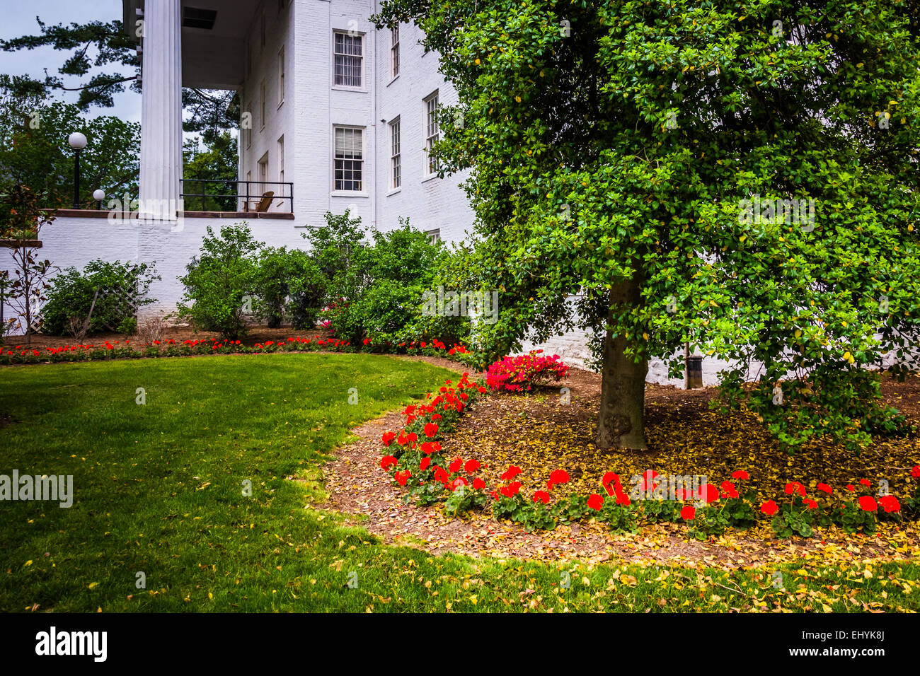 Flowers, tree and building at Gettysburg College, Gettysburg