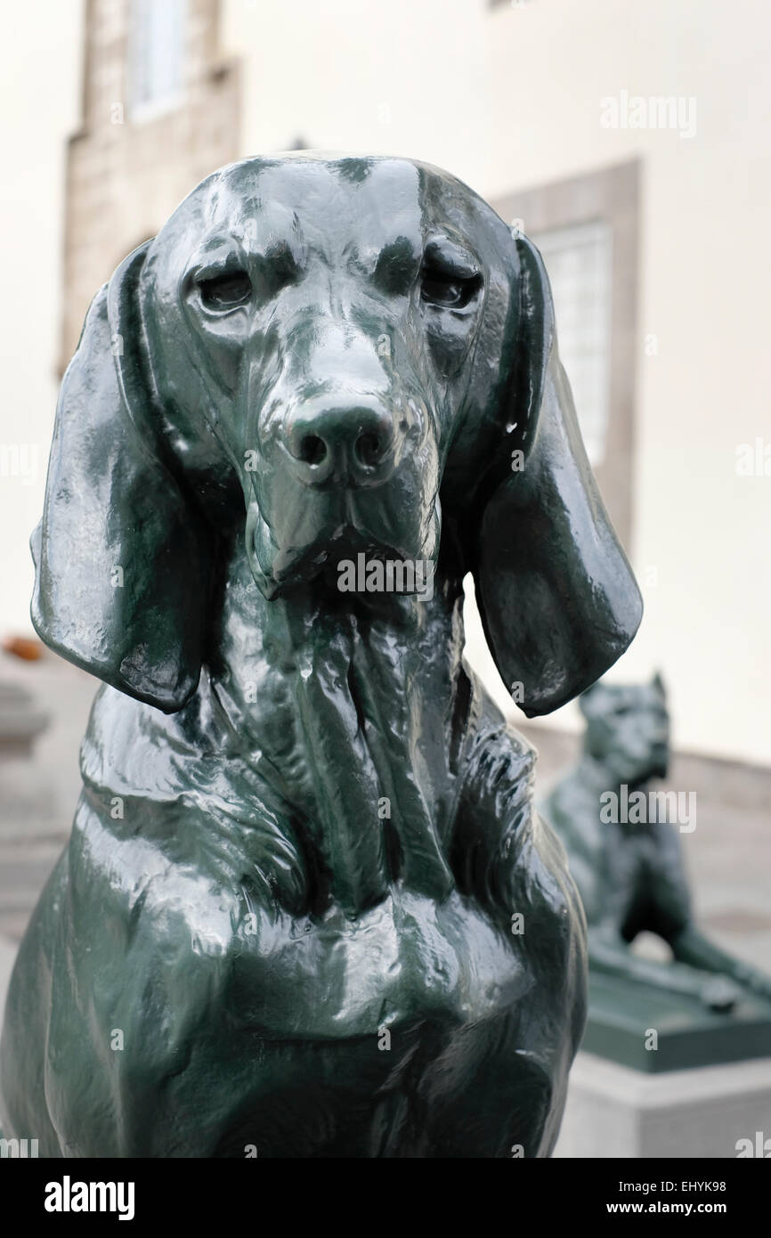 Bronze statues of dogs guard the Plaza Santa Ana, Vegueta, Las Palmas, Gran Canaria, Spain Stock Photo