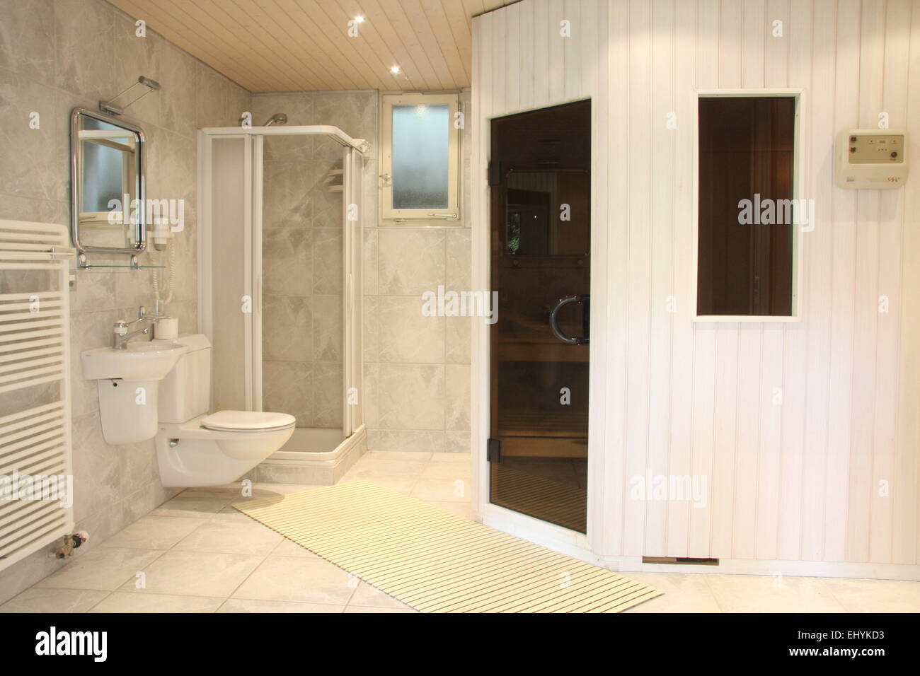 Switzerland, house, home, one family house, luxurious, inside, WC, shower, sauna, fitness, Stock Photo