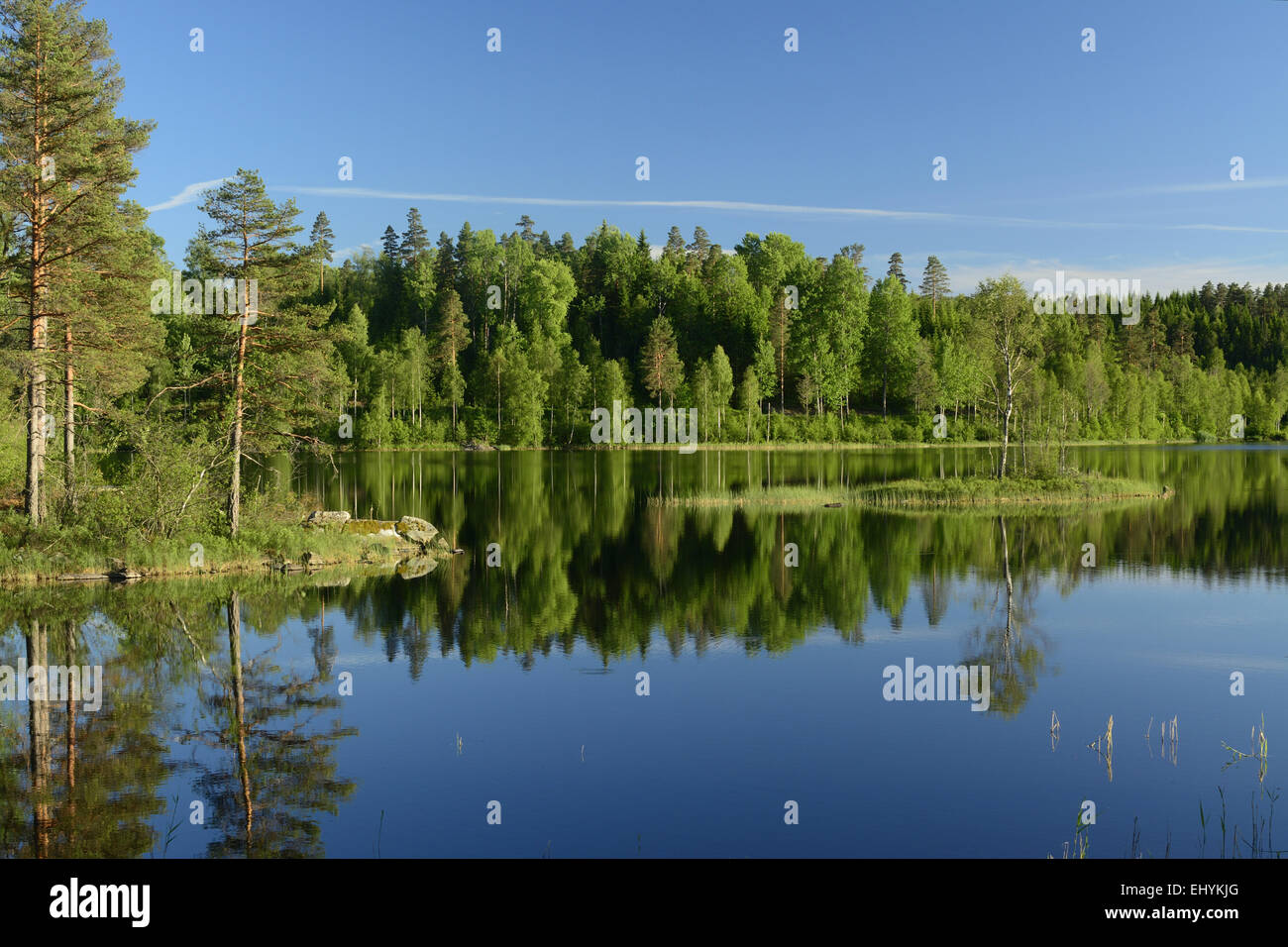 Lake, forest, rfeflections, near Barkerud, Västra Götalands Län, Sweden, Europe, Stock Photo