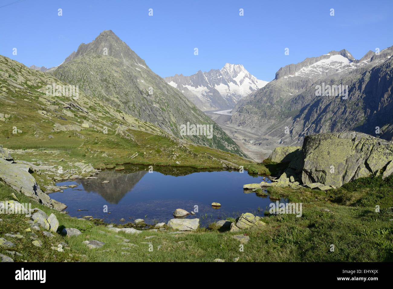 Alps, mountains, Grimsel, glacier, snow, pond, reflections, Lauteraarhorn, Vorderer Zinggenstock, Lauteraargletscher, Bernese Obe Stock Photo