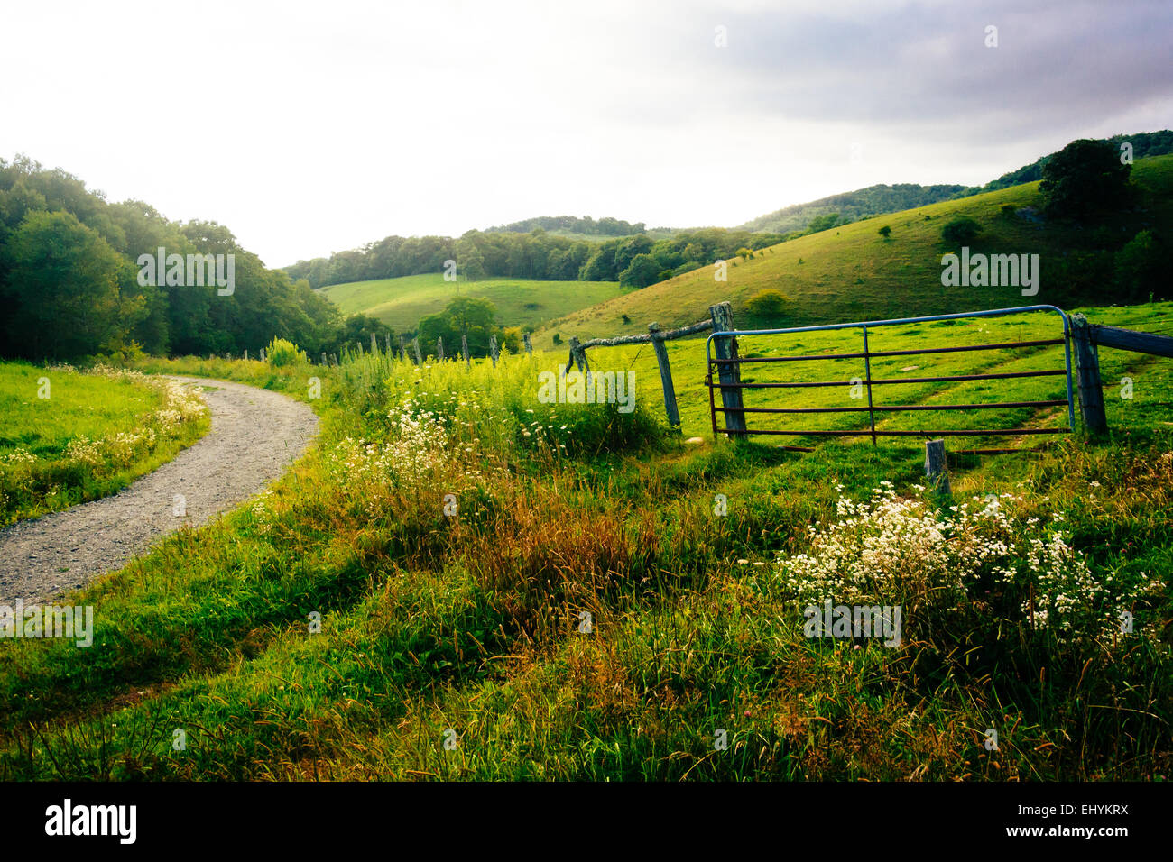 Gate in a field at Moses Cone Park on the Blue Ridge Parkway in North