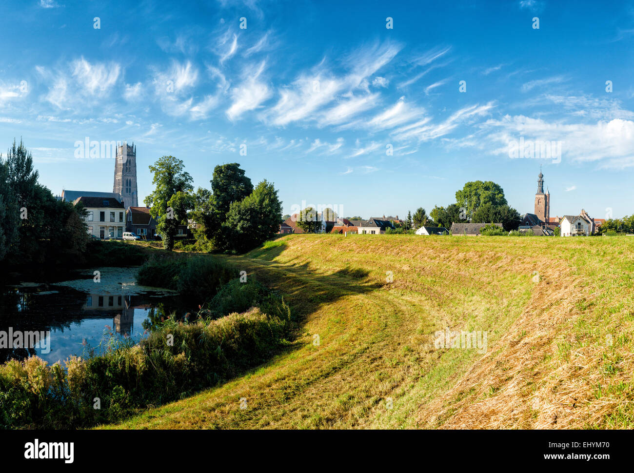 Netherlands, Holland, Europe, Zaltbommel, Village, safe, dike, river, Waal, landscape, field, meadow, trees, summer, Stock Photo