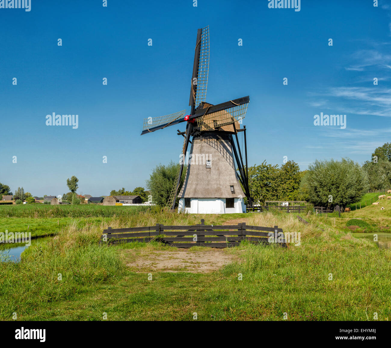 Netherlands, Holland, Europe, Werkendam, Windmill, windmill, field, meadow, summer, Stock Photo