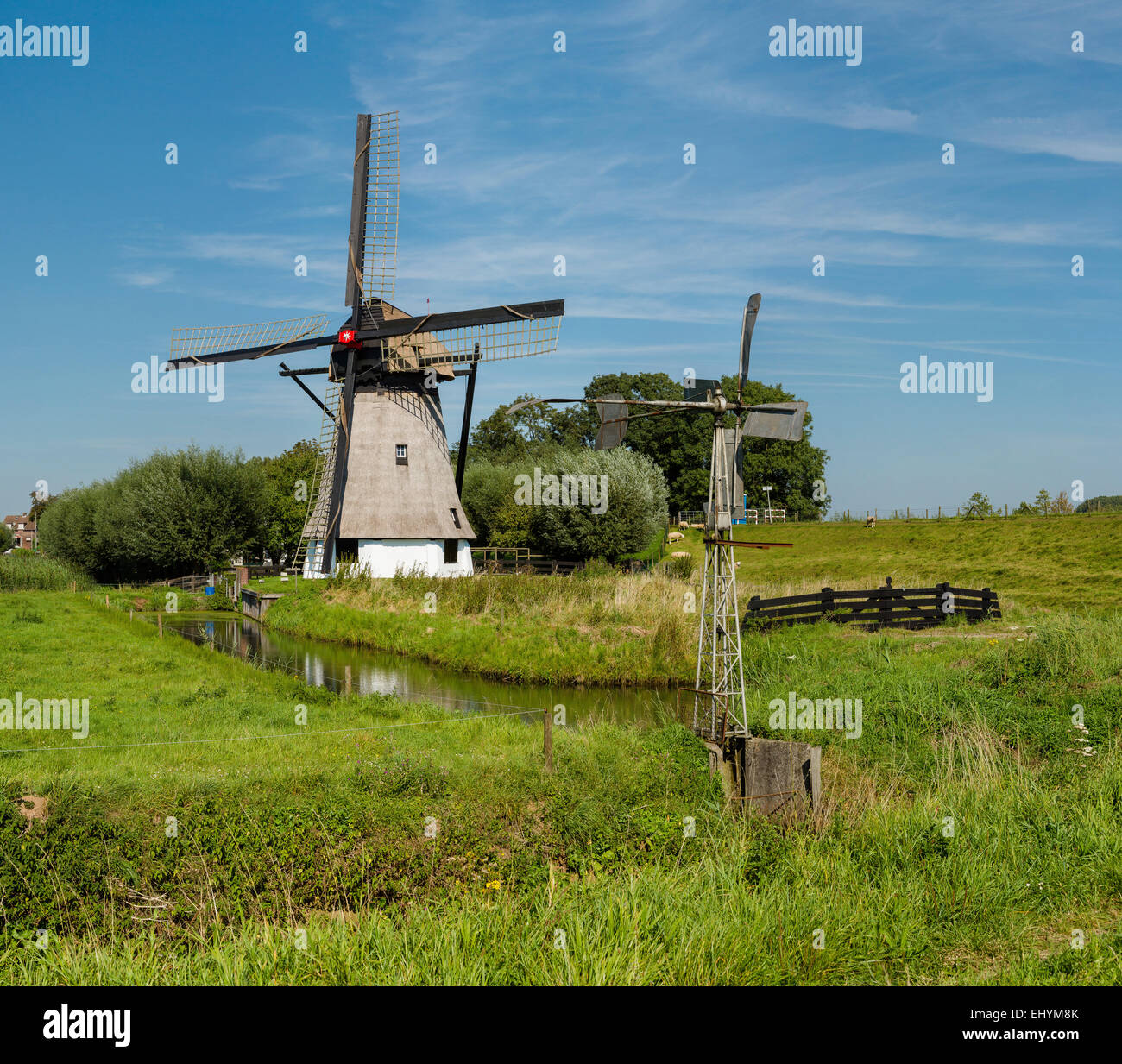 Netherlands, Holland, Europe, Werkendam, Windmill, windmill, field, meadow, summer, Stock Photo