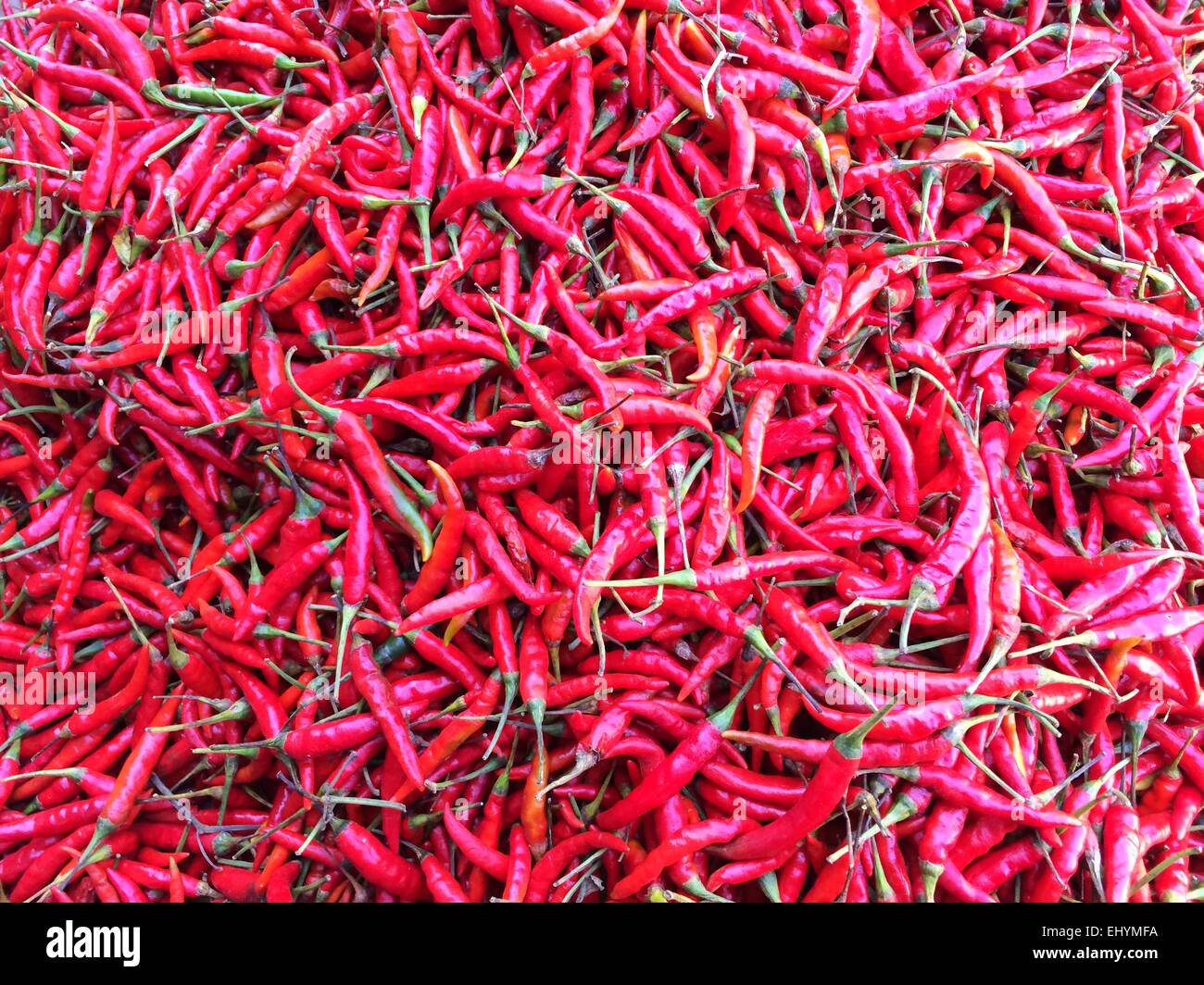 Close-up of Red chillis Stock Photo