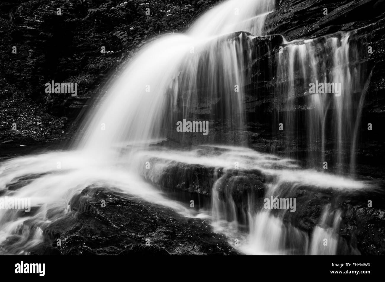 Horizontal black and white image of Onondaga Falls, in Glen Leigh at Ricketts Glen State Park, Pennsylvania. Stock Photo