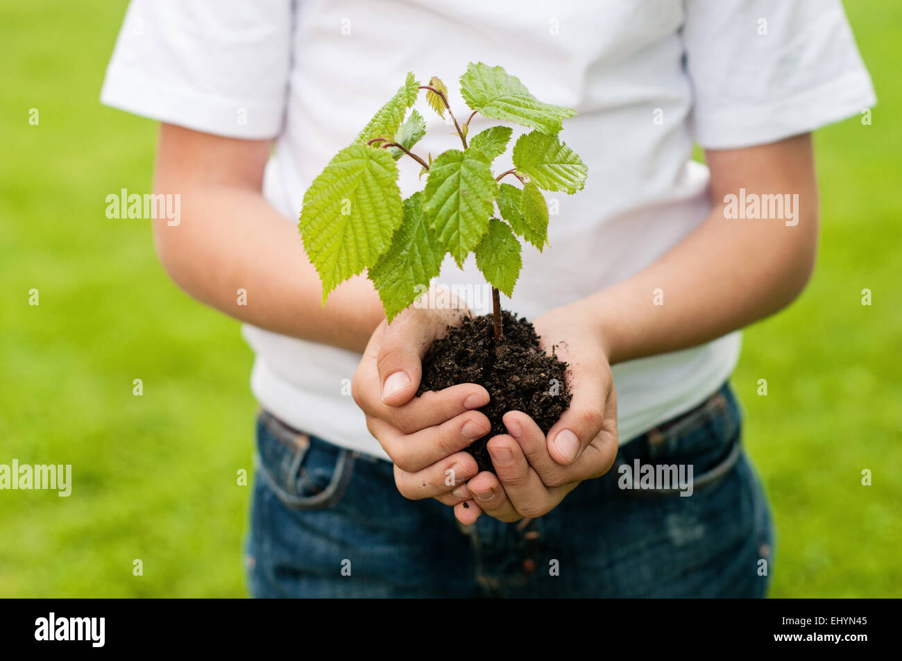 Boy holding a tree sapling in the palm of his hands Stock Photo