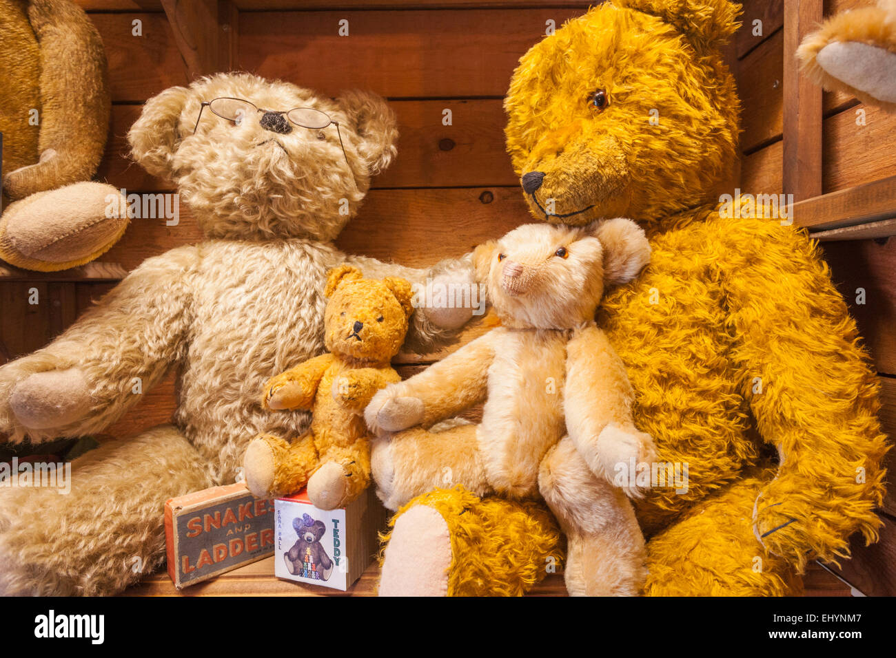 Teddy bear museum hires stock photography and images Alamy