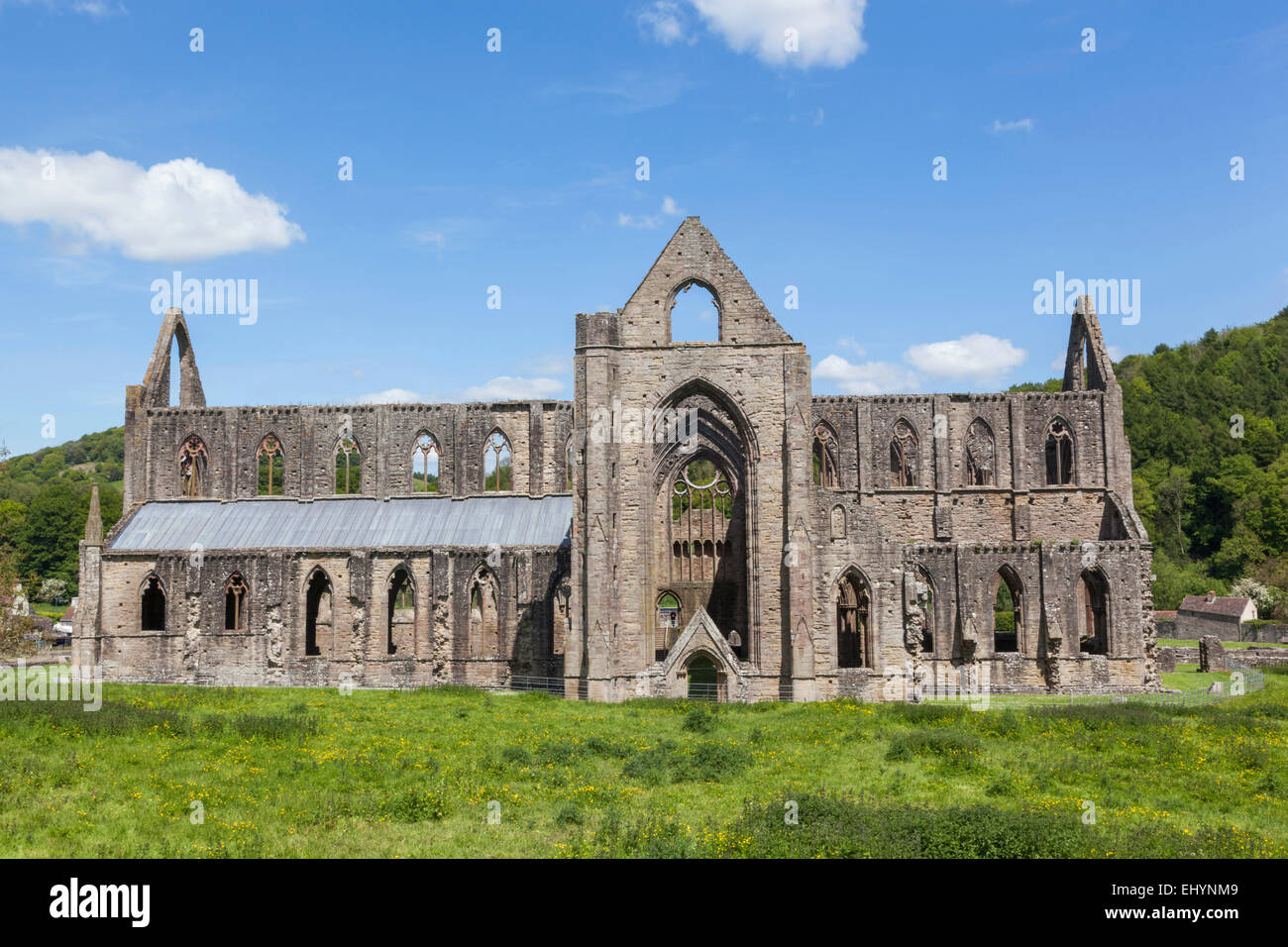Wales, Monmouthshire, Tintern Abbey, ruin Stock Photo - Alamy